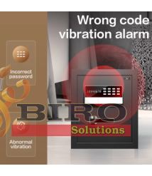 Safeu metalic DELI T623 480х400х795 mm